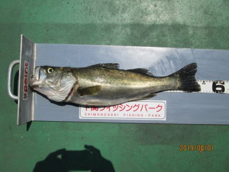 下関フィッシングパーク 釣果