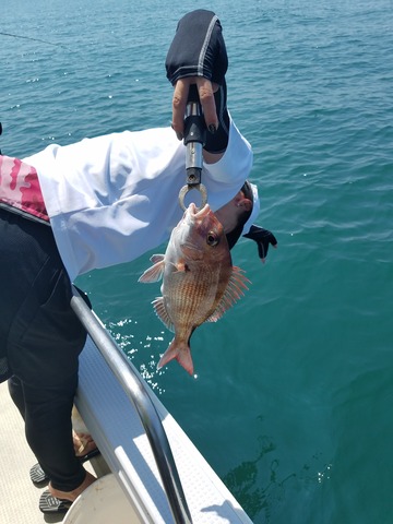 遊漁船　ニライカナイ 釣果