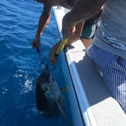 へいみつ丸 釣果