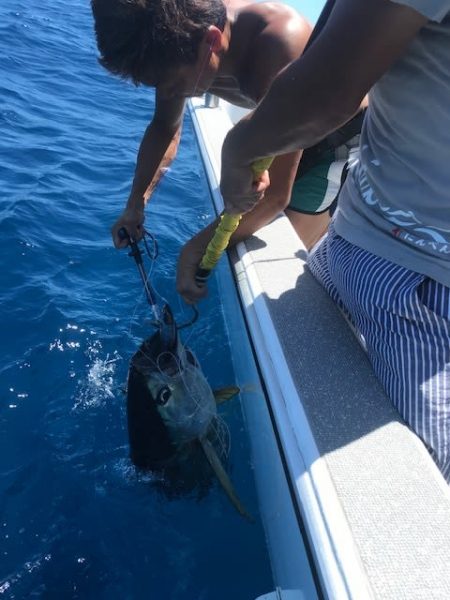 へいみつ丸 釣果