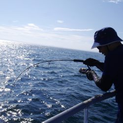 松鶴丸 釣果