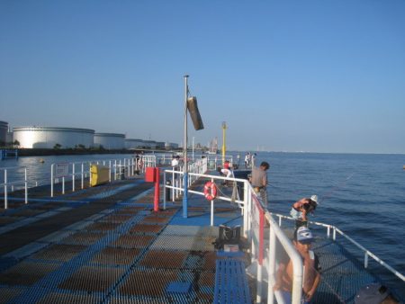 オリジナルメーカー海づり公園(市原市海づり施設) 釣果