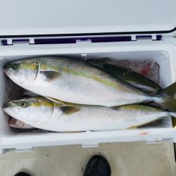 遊漁船　ニライカナイ 釣果