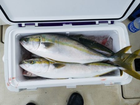 遊漁船　ニライカナイ 釣果