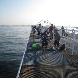 オリジナルメーカー海づり公園(市原市海づり施設) 釣果