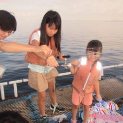 オリジナルメーカー海づり公園(市原市海づり施設) 釣果