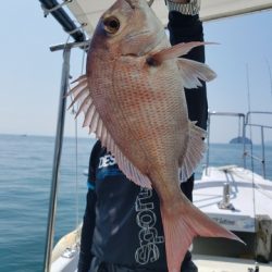 遊漁船　ニライカナイ 釣果