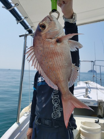 遊漁船　ニライカナイ 釣果