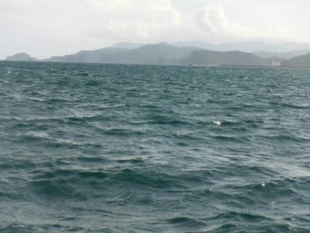 開進丸 釣果