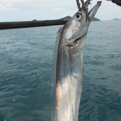 開進丸 釣果