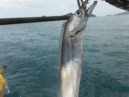 開進丸 釣果