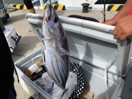 喜平治丸 釣果