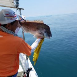 遊漁船　ニライカナイ 釣果