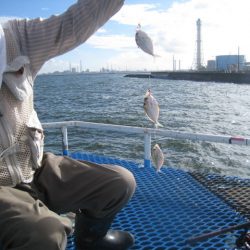 オリジナルメーカー海づり公園(市原市海づり施設) 釣果