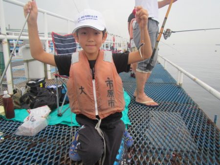 オリジナルメーカー海づり公園(市原市海づり施設) 釣果