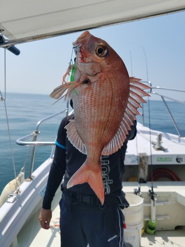 遊漁船　ニライカナイ 釣果