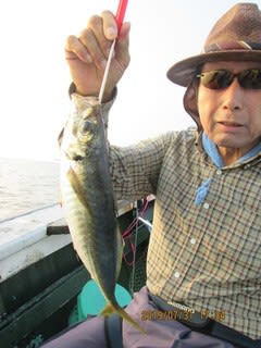 松福丸 釣果