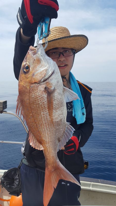 海峰 釣果