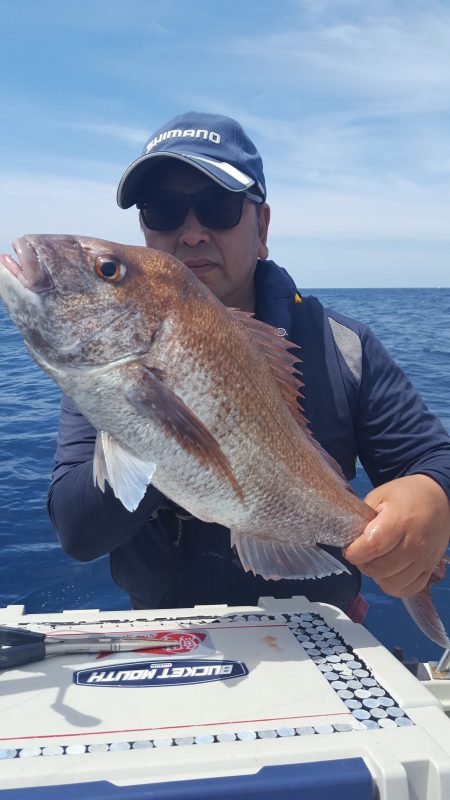 海峰 釣果