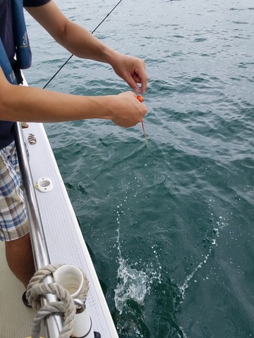 遊漁船　ニライカナイ 釣果