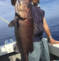 凪紗丸 釣果