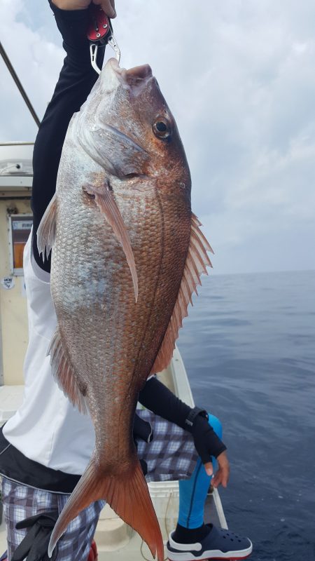 海峰 釣果