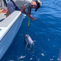 へいみつ丸 釣果