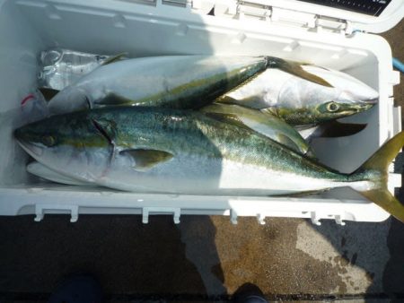 浅間丸 釣果