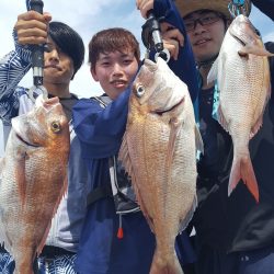 海峰 釣果