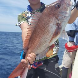 海峰 釣果