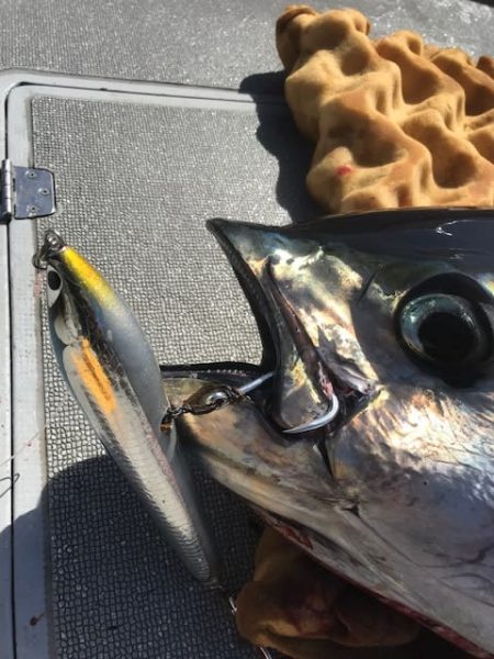 へいみつ丸 釣果