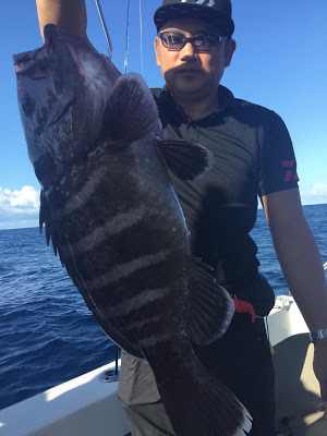 凪紗丸 釣果