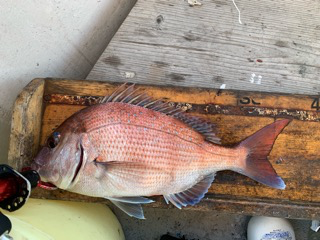 幸吉丸 釣果