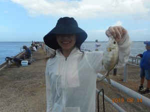 鹿島港魚釣園 釣果