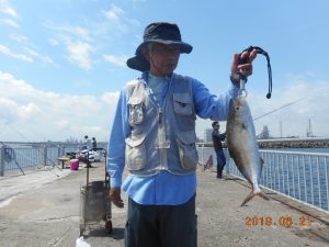 鹿島港魚釣園 釣果