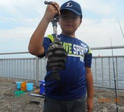 鹿島港魚釣園 釣果