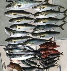 さぶろう丸 釣果