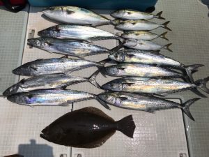 さぶろう丸 釣果