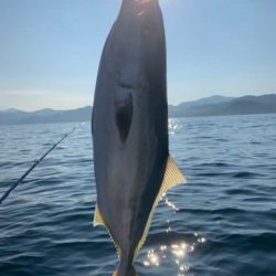 宝昌丸 釣果