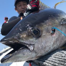 まると屋 釣果