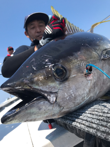 まると屋 釣果