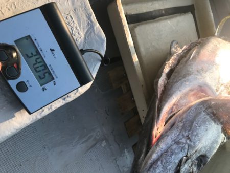 まると屋 釣果