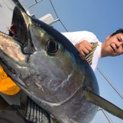 まると屋 釣果