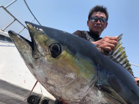 まると屋 釣果