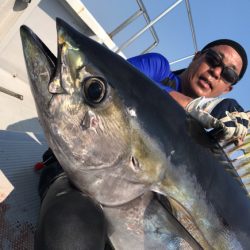 まると屋 釣果