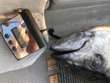 まると屋 釣果