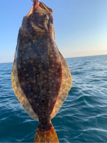 宝昌丸 釣果