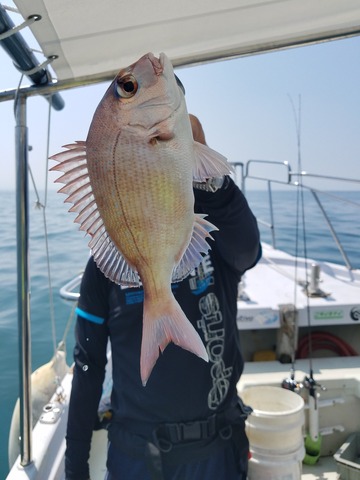 遊漁船　ニライカナイ 釣果