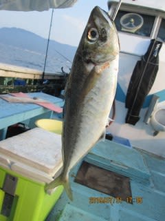 松福丸 釣果