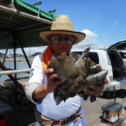 館山つりセンターくろしお丸 釣果